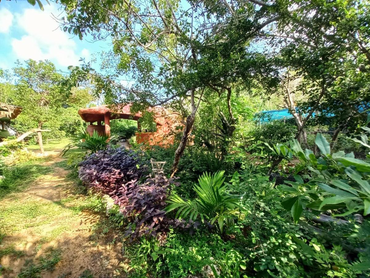 Watamu Beach Cottages B&B Zewnętrze zdjęcie