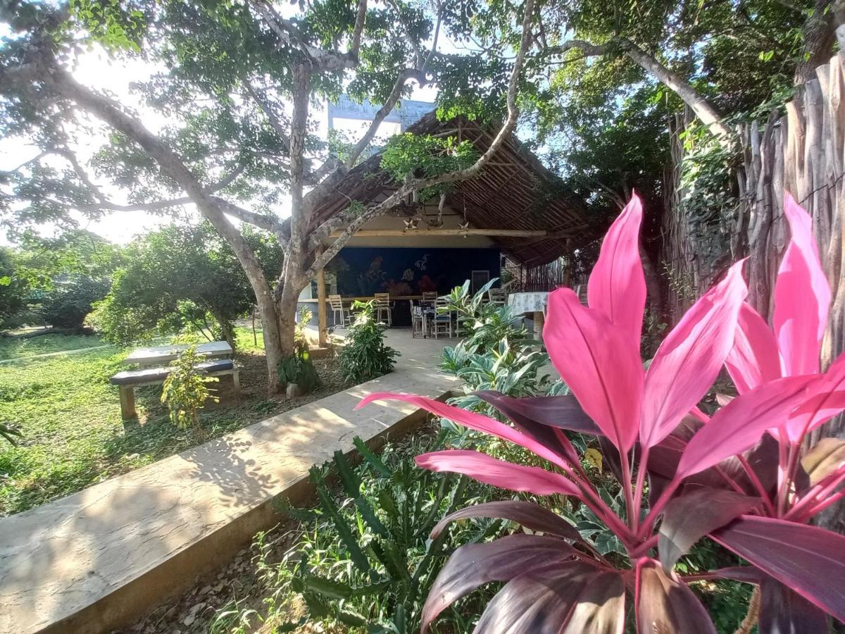 Watamu Beach Cottages B&B Zewnętrze zdjęcie